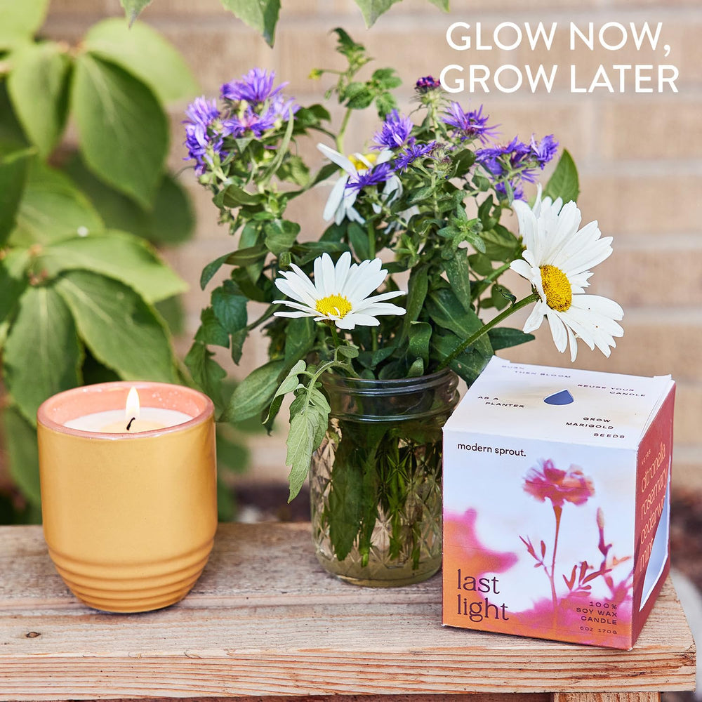 Modern Sprout mise en scène lifestyle sur table de jardin évoquant convivialité