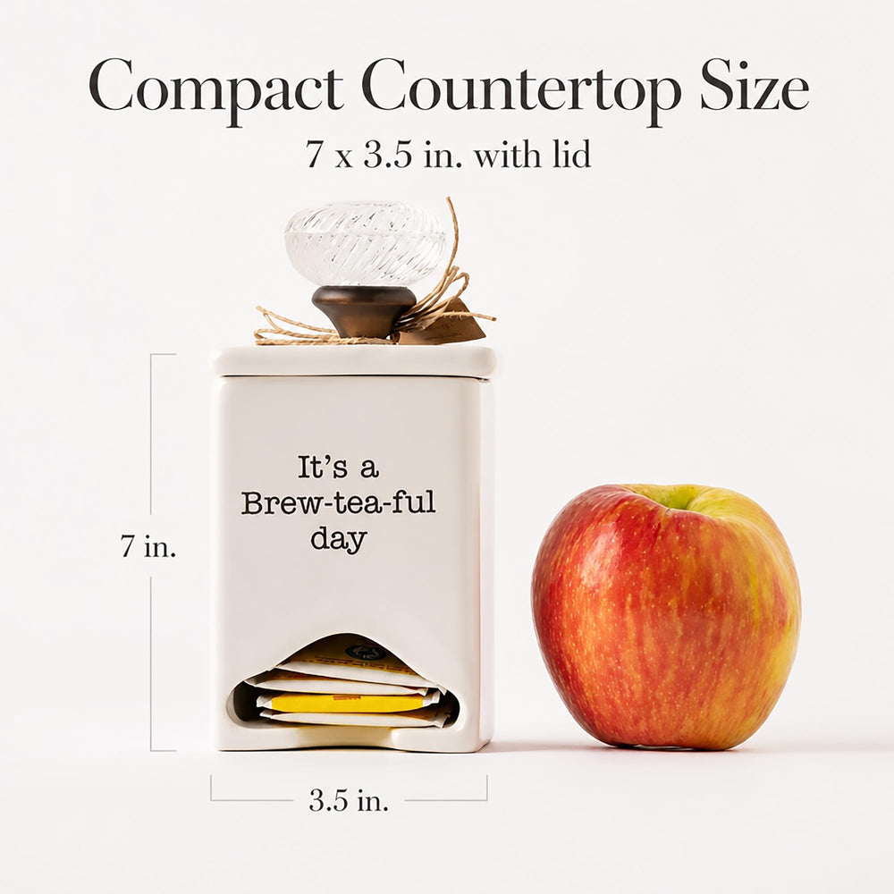Mud Pie boîte à côté d’une main, comparaison d’échelle montrant sa taille compacte