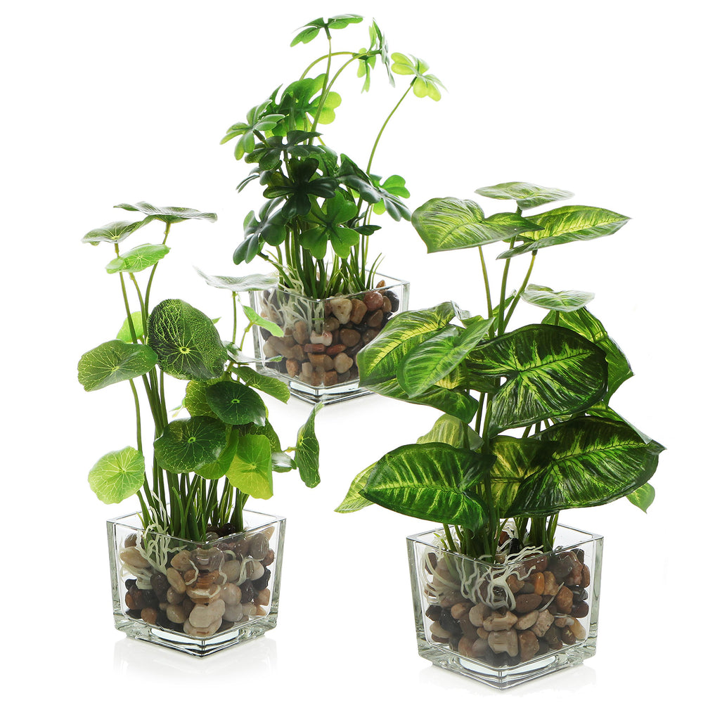 MyGift trio vue de face en pots verre, apporte déco sans entretien