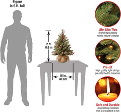 National Tree Company Dunhill Fir détail des LED et du boîtier minuterie pour un éclairage pratique