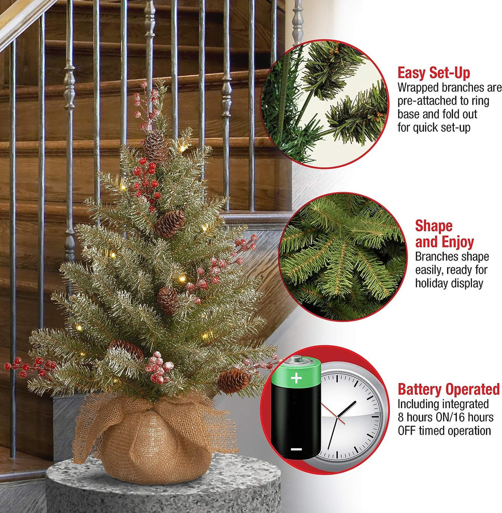 National Tree Company Dunhill Fir posé sur une table de salon apportant ambiance chaleureuse