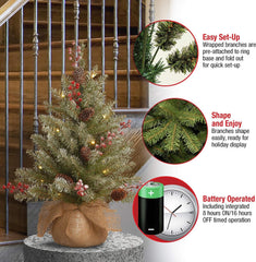 National Tree Company Dunhill Fir posé sur une table de salon apportant ambiance chaleureuse