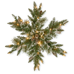 National Tree Company couronne étoile 32 pouces face visible, apporte ambiance hivernale