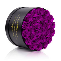NATROSES coffret ouvert présentant l'arrangement compact et finition velours noire