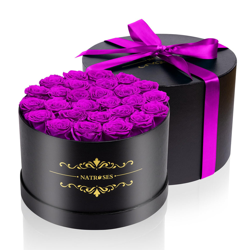 NATROSES rose tenue en main illustrant la taille réelle et l'impact décoratif