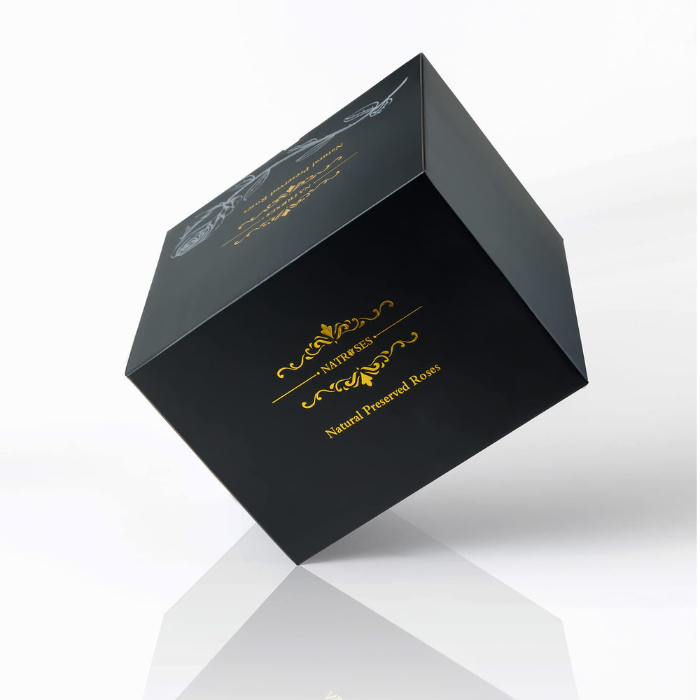 NATROSES coffret en situation salon créant une ambiance chaleureuse
