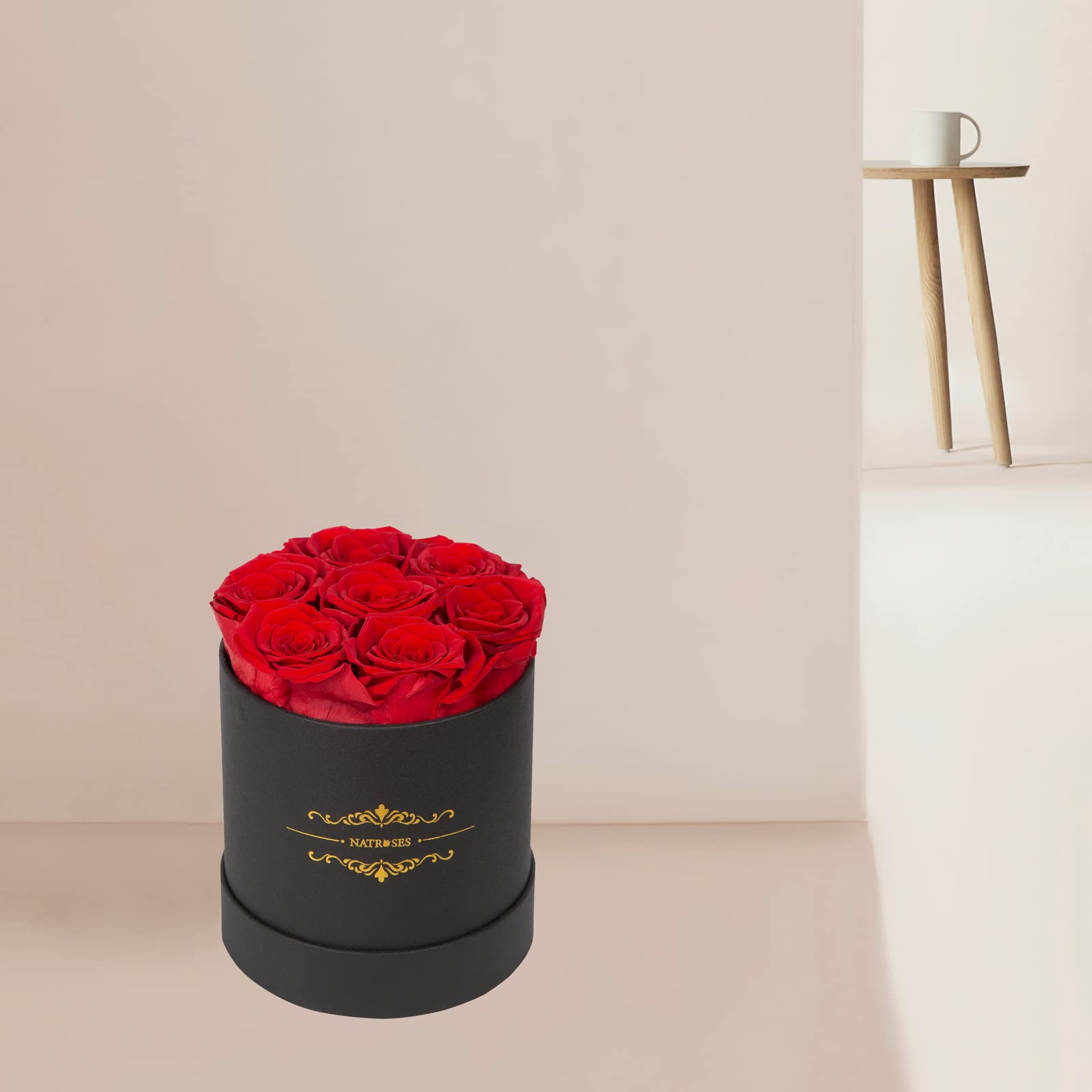 NATROSES comparaison de taille montrant diamètre des boutons, référence visuelle