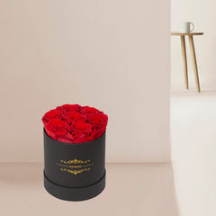 NATROSES comparaison de taille montrant diamètre des boutons, référence visuelle