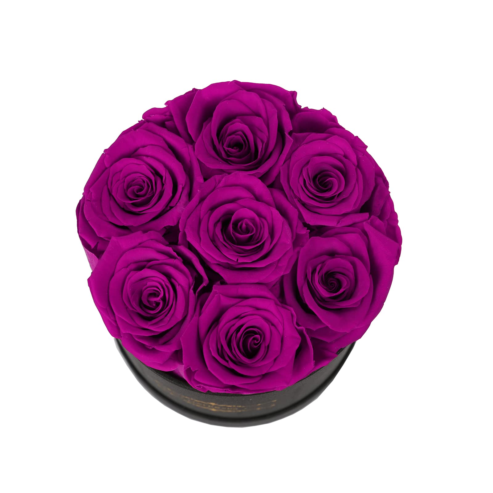 NATROSES décor intérieur violet apportant touche romantique durable