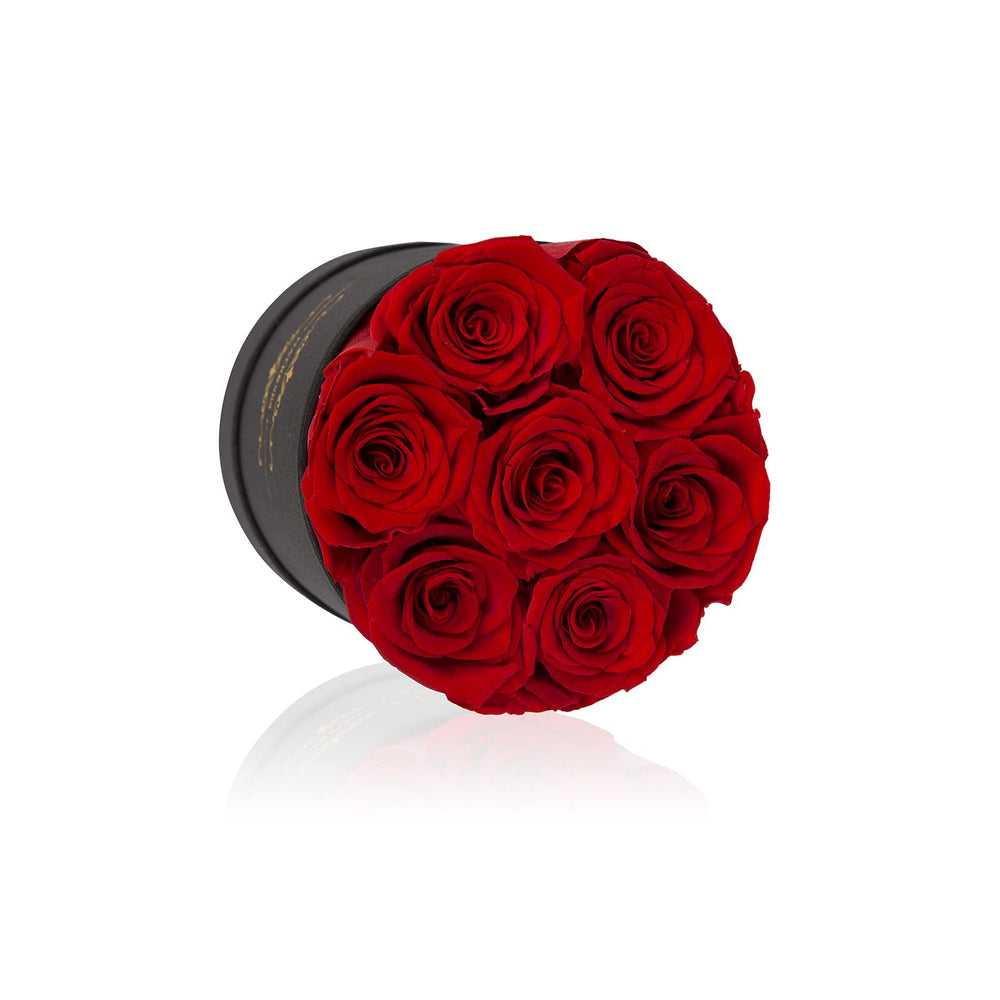 NATROSES gros plan des pétales conservés, texture et couleur réalistes