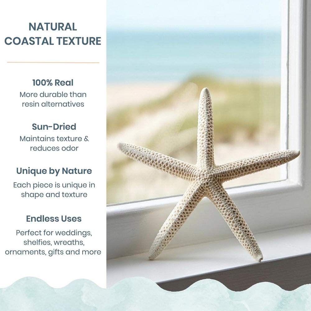 Nautical Crush Trading étoile de mer gros plan texture pour détails décoratifs