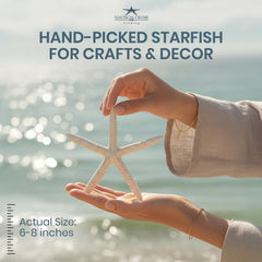 Nautical Crush Trading étoile de mer utilisée dans déco mariage apportant charme côtier