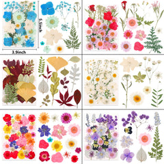 NESCCI fleurs intégrées dans résine montrant rendu clair et durable