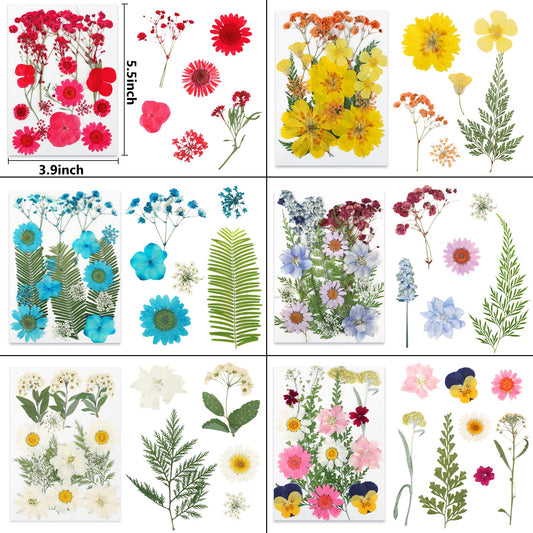 NESCCI gros plan sur texture des pétales, couleurs naturelles préservées