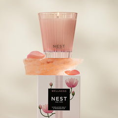 NEST New York bougie allumée diffuse parfum, crée ambiance relaxante