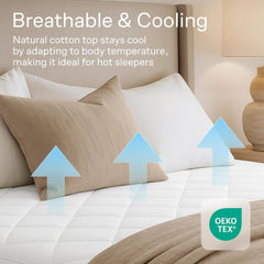 Niagara Sleep Solution jupe élastique extensible, maintien sur matelas profond