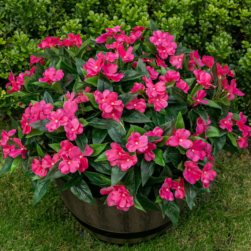 Nigirior vue de face des six bouquets et couleur rose rouge, apporte vivacité