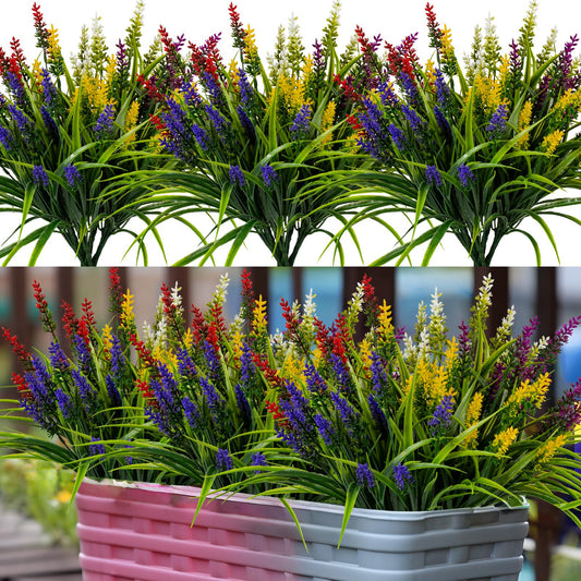 Nigirior paquet 24 bouquets devant montrant variété et gain de temps