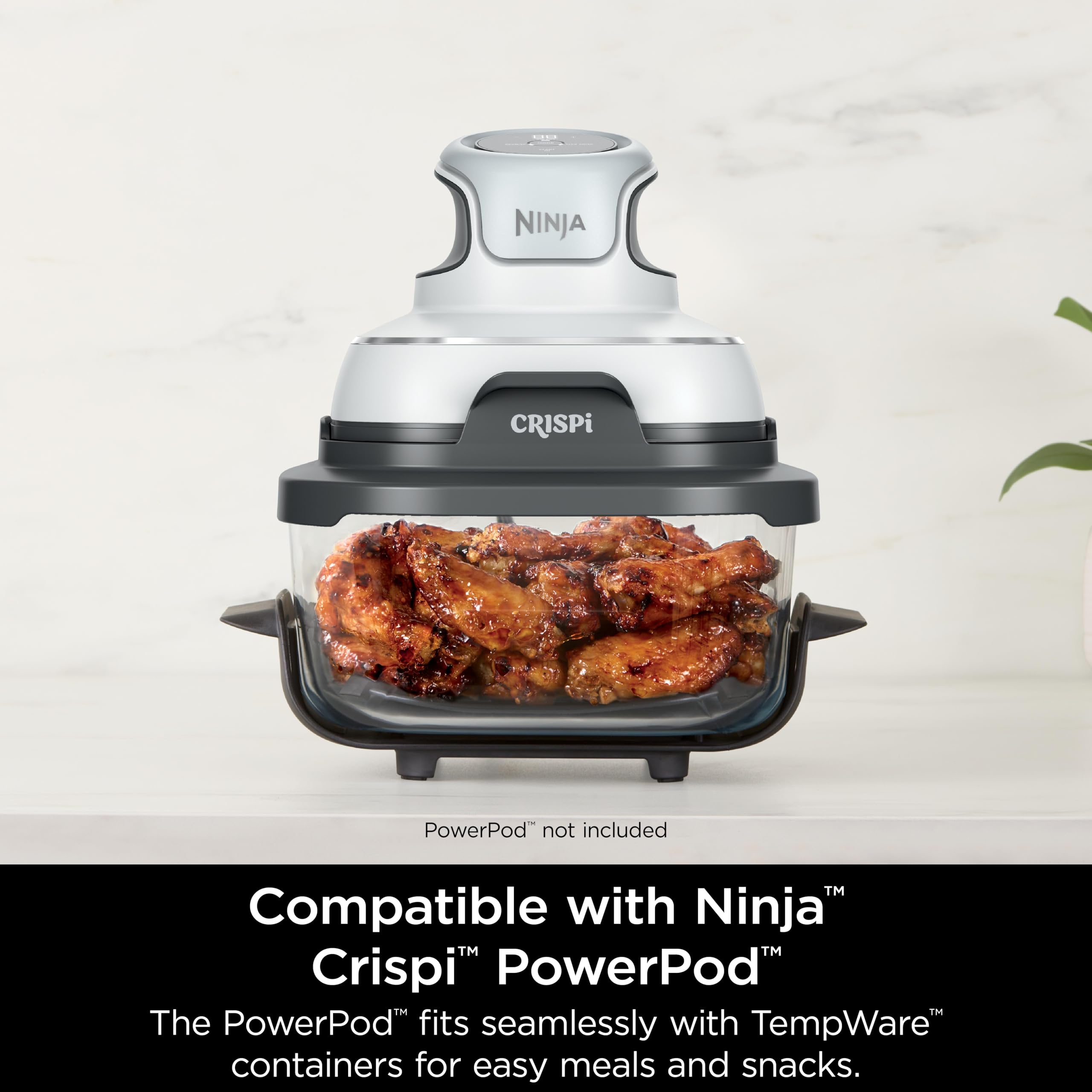 Ninja récipient cuisant un poulet entier avec légumes pour repas familial