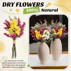 Nuanchu mini bouquet séché disposé dans un petit vase pour ambiance immédiate