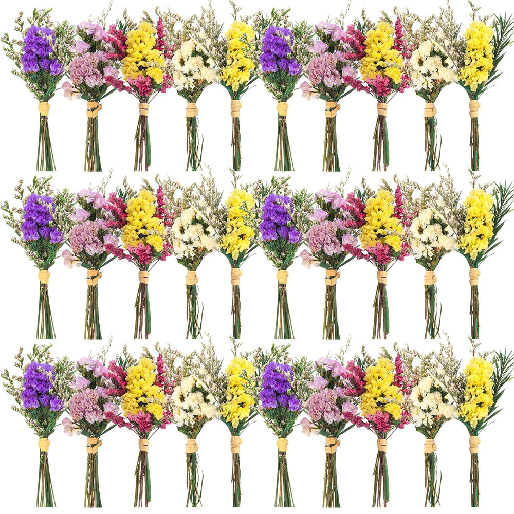 Nuanchu lot de 30 mini bouquets séchés présentés en ensemble pour décoration
