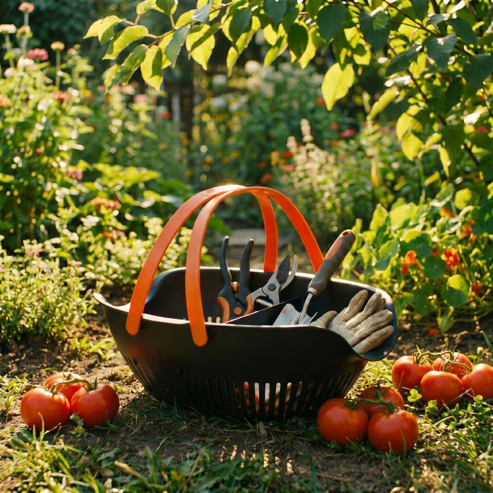 Nuogo panier en usage récolte avec fruits pour transport sûr