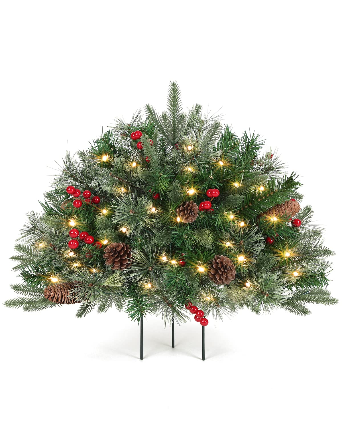 OasisCraft sapin face montrant silhouette compacte et attrayante