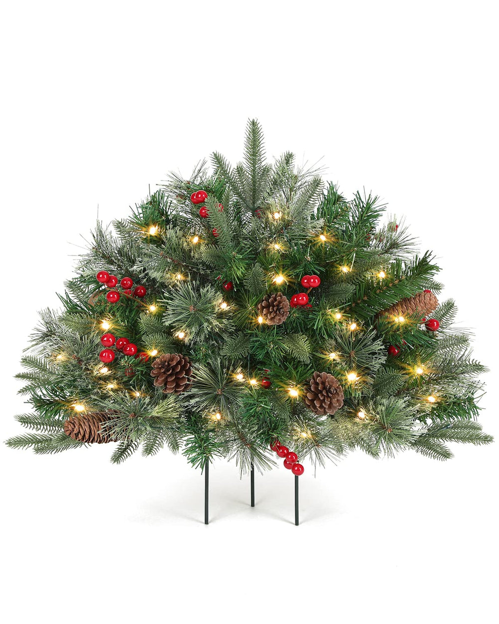 OasisCraft sapin face montrant silhouette compacte et attrayante