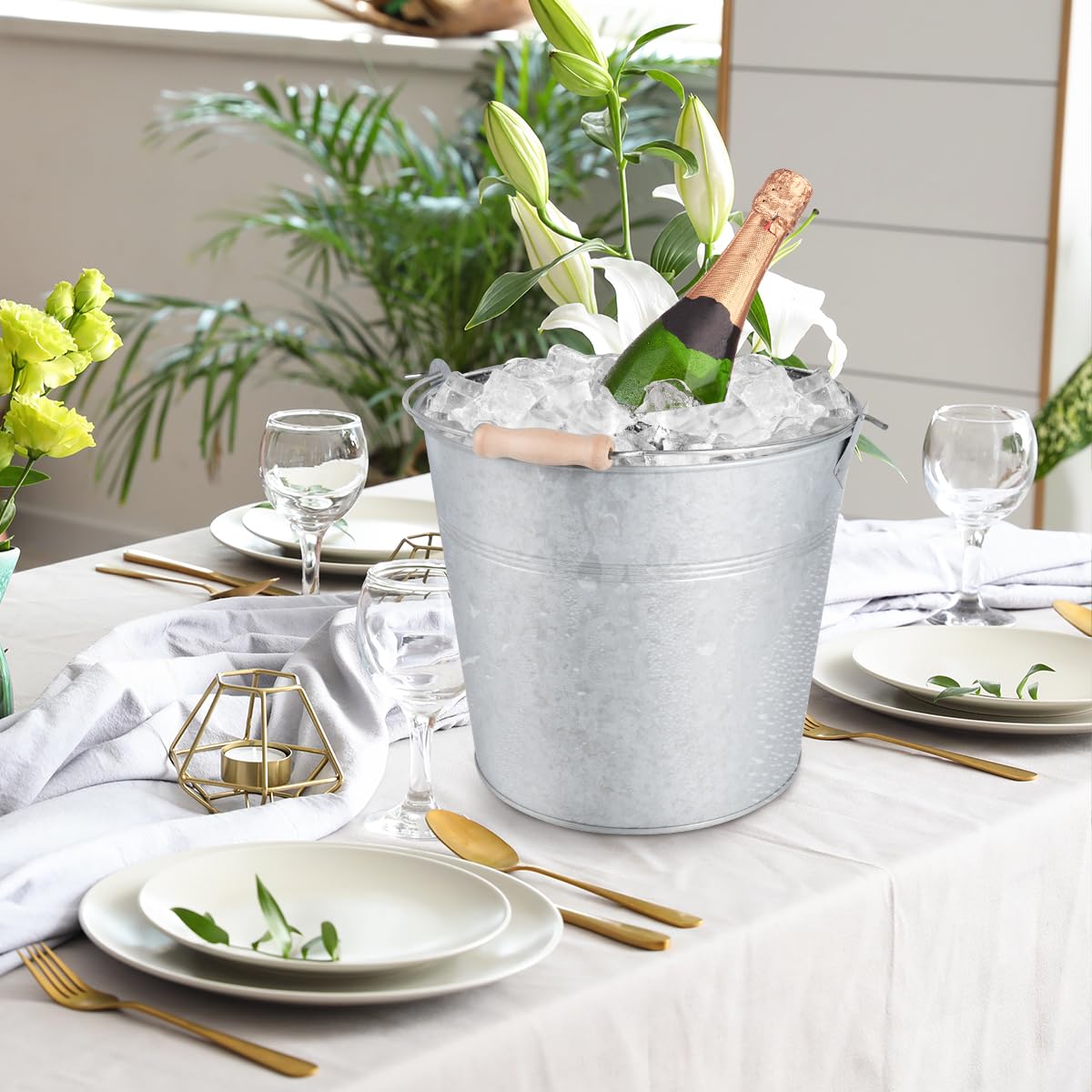 OBTANIM seau utilisé comme pot pour succulentes apportant touche décorative jardin