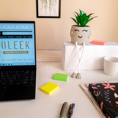 OLEEK plante avec jambes pendantes accrochée à une étagère, ajoute personnalité et conversation