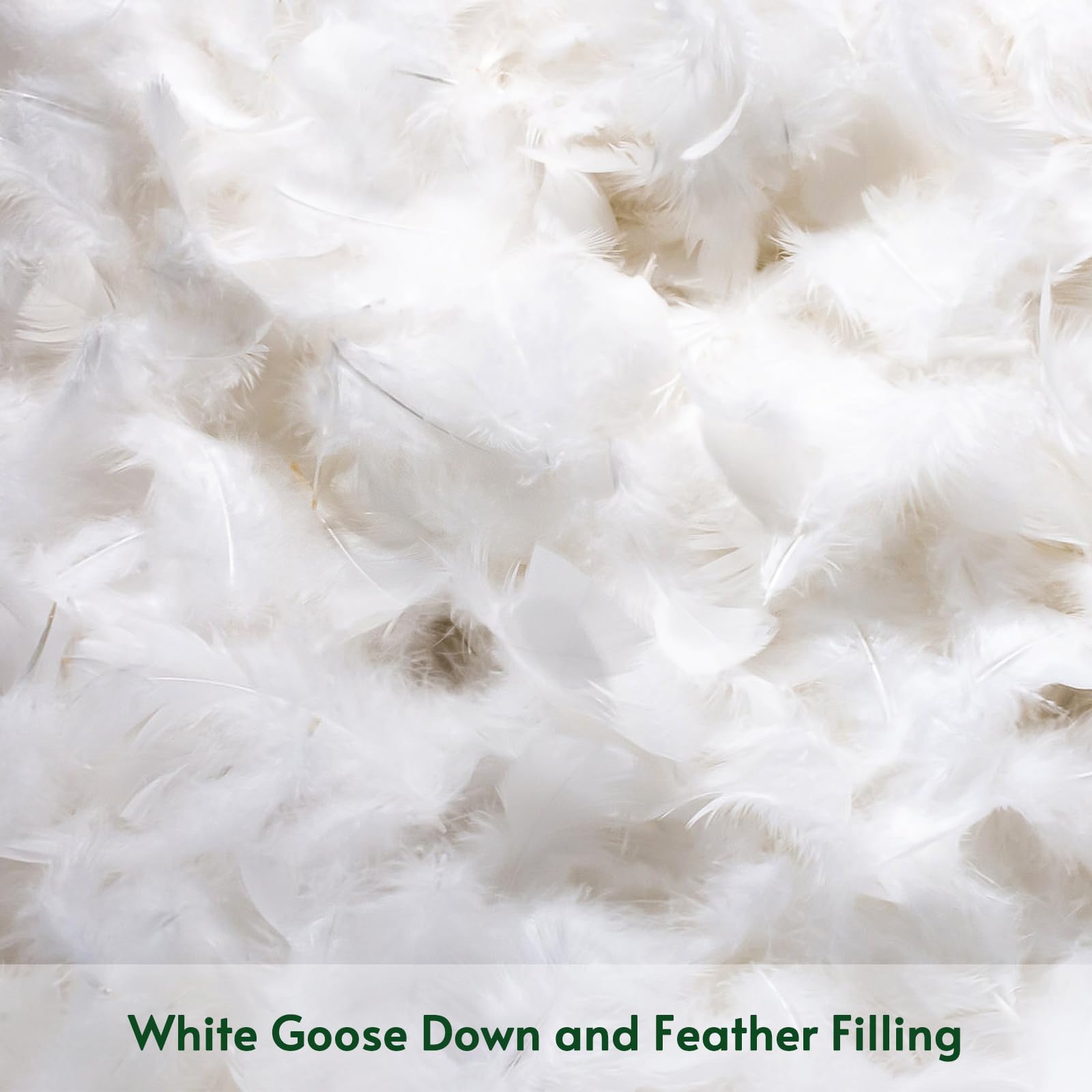 OTOSTAR gros plan sur le mélange duvet et plumes d'oie blanches pour un gonflant naturel et durable