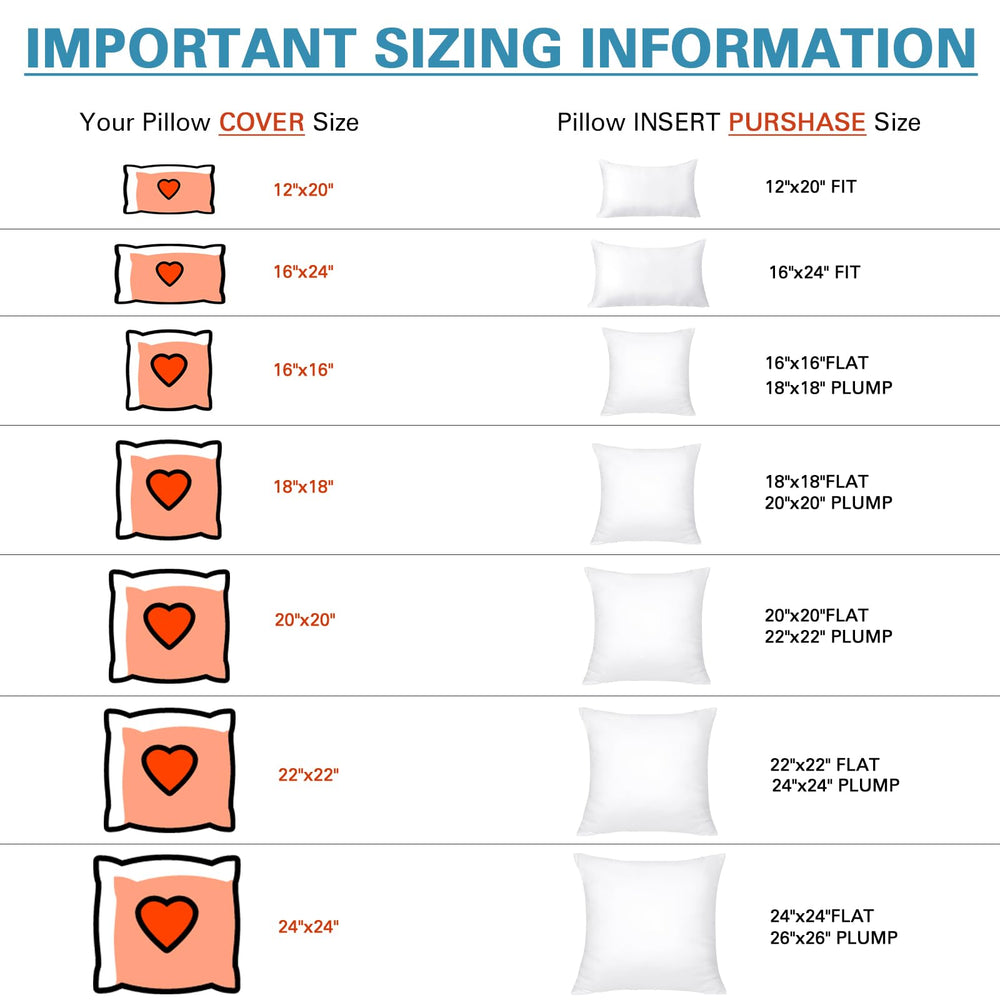OTOSTAR insert à côté d'une règle pour comparaison d'échelle