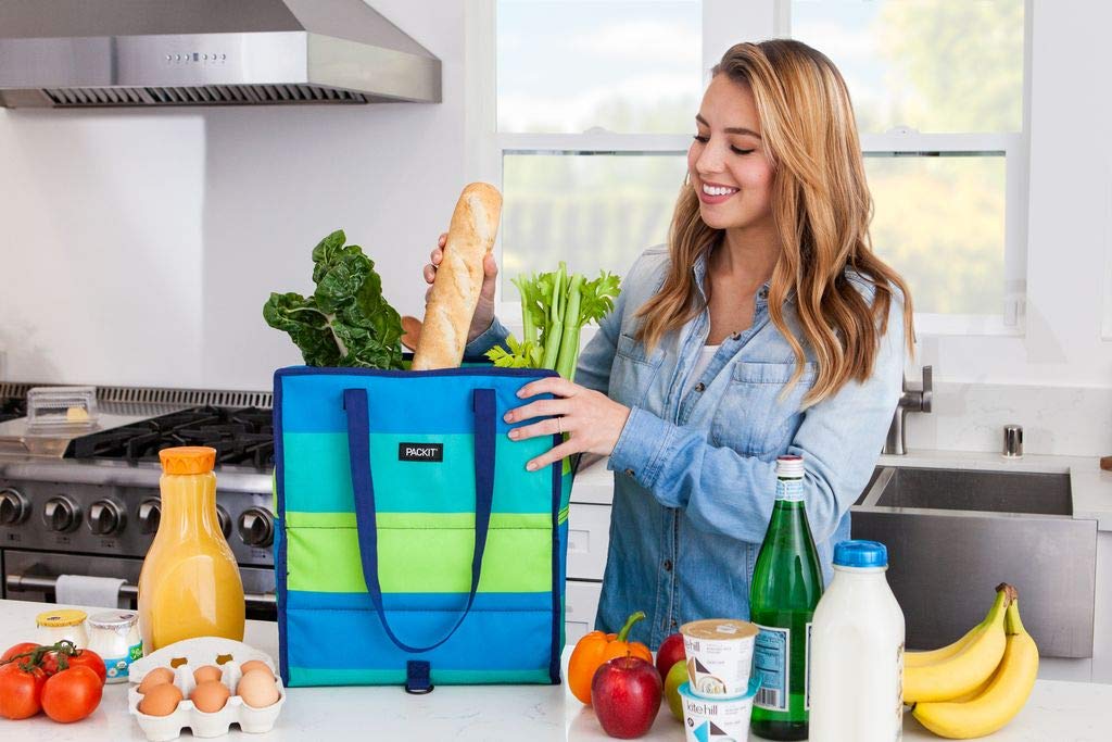 PackIt intérieur avec gel intégré pour refroidissement sûr