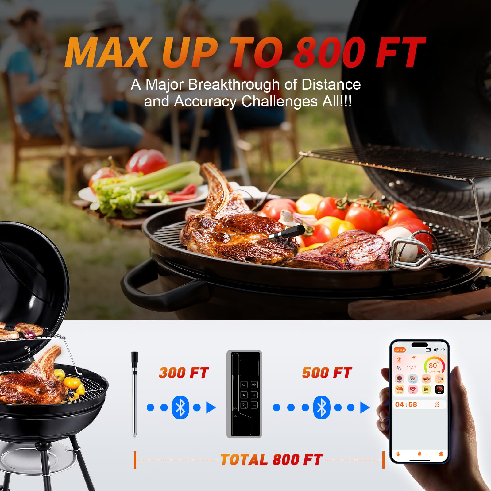 paneceia en usage sur barbecue illustration surveillance à distance pratique