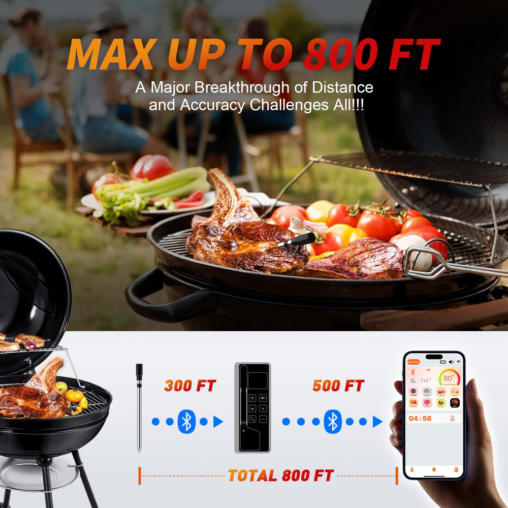 paneceia en usage sur barbecue illustration surveillance à distance pratique