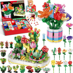 Partylamb face avant du calendrier avec emballage cadeau et design attractif