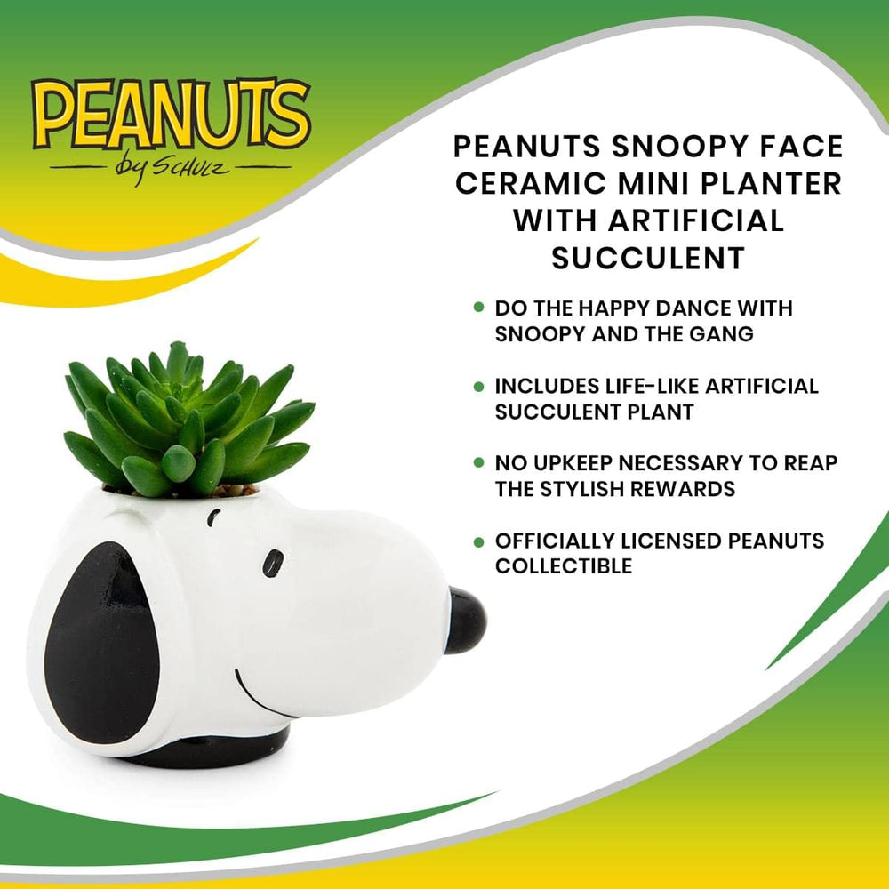 Peanuts emballage et étiquette officielle, certifie produit sous licence