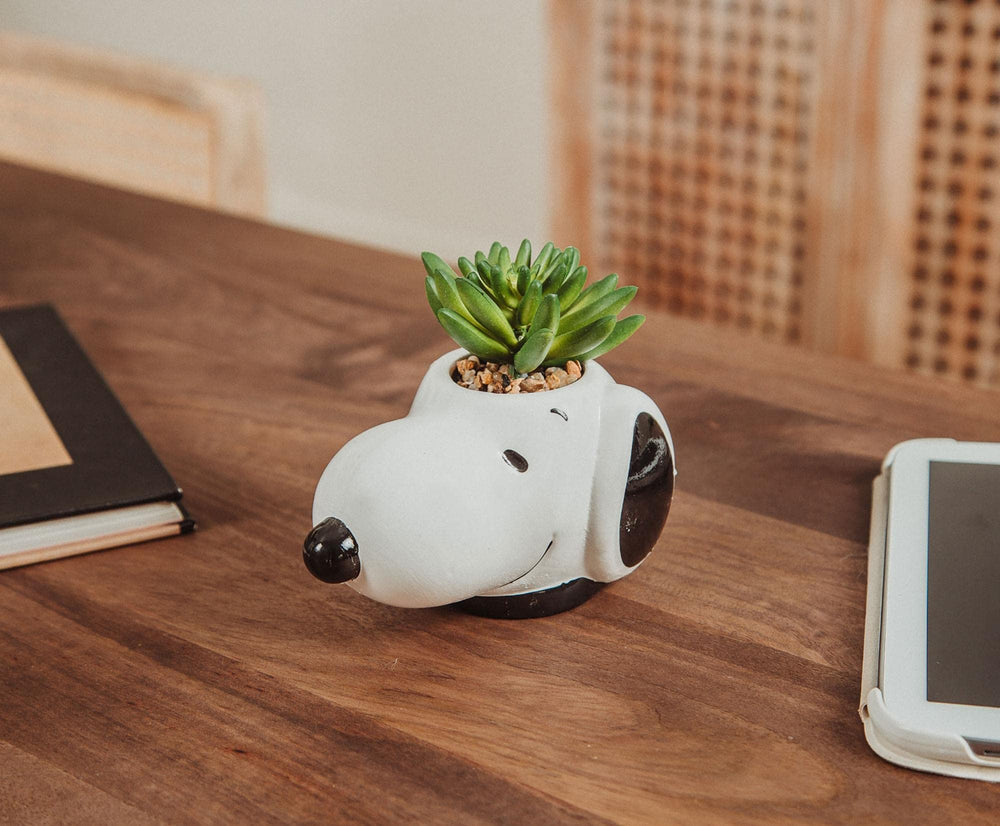 Peanuts pot à l'échelle de la main, montre taille compacte pratique