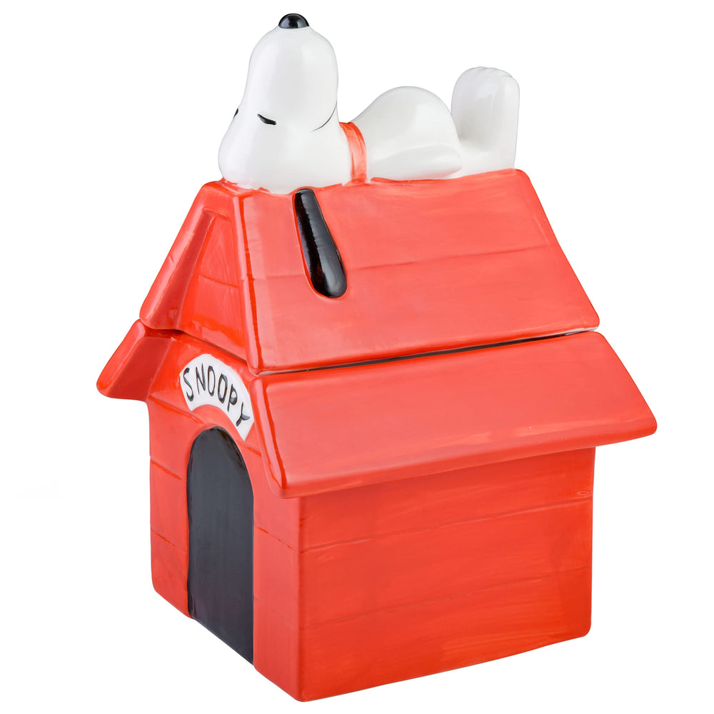 Peanuts Snoopy vue de face montrant la maisonnette, attrayante et décorative