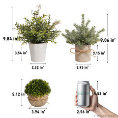 PENGYEE plantes posées sur étagère montrant gain d'espace décoratif