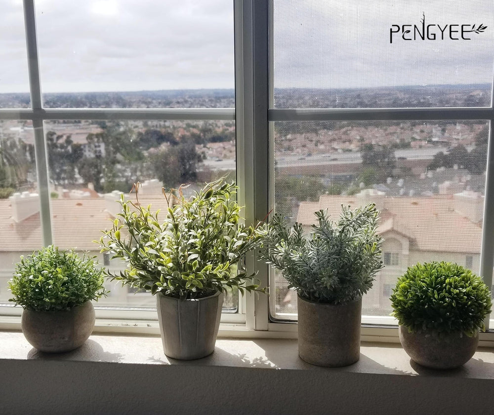 PENGYEE lot de quatre plantes variées pour un arrangement mix-and-match