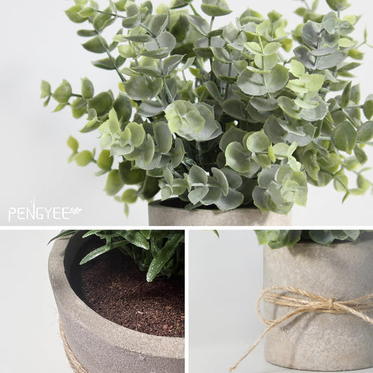 PENGYEE gros plan feuille eucalyptus montrant réalisme et texture naturelle