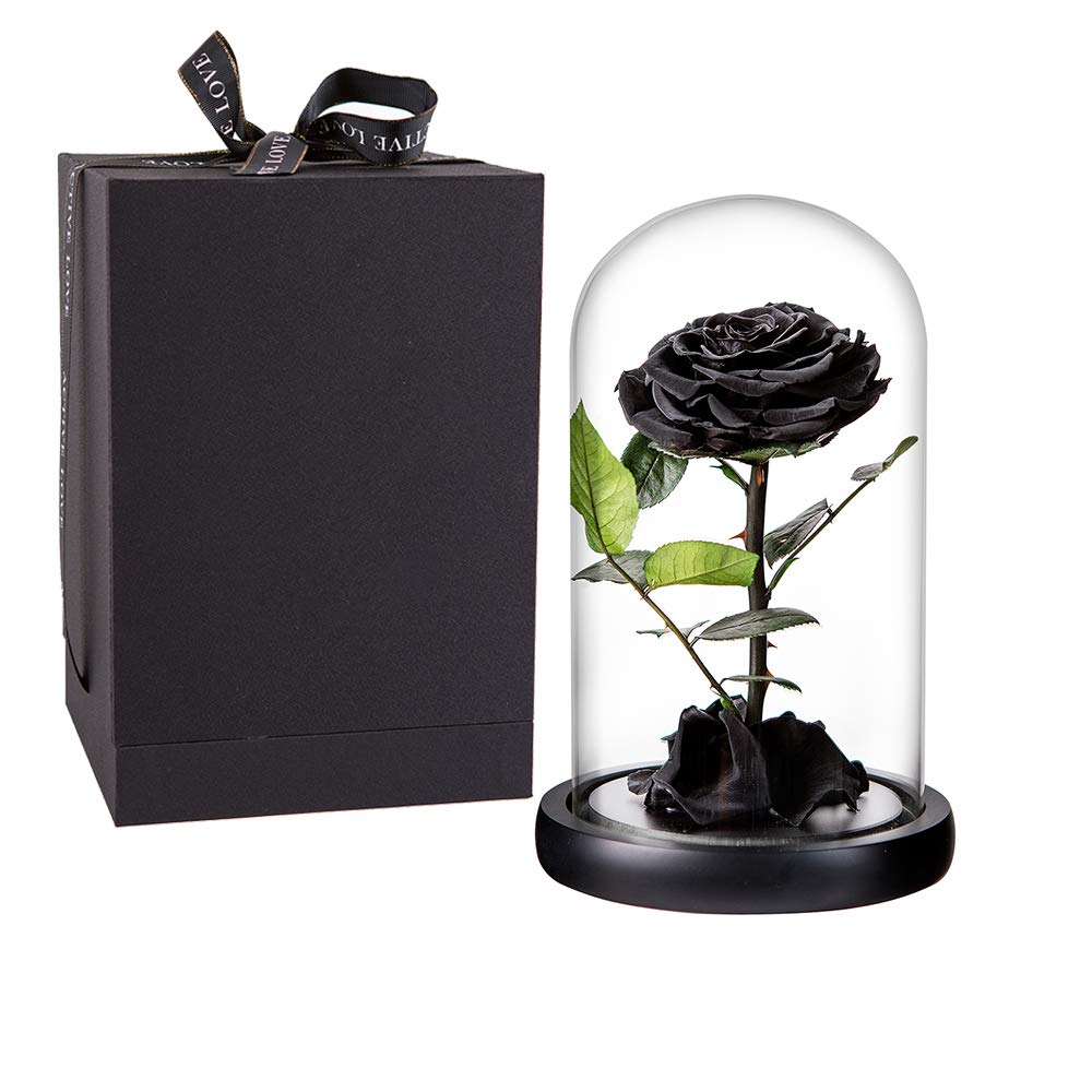 Perfectione Roses cloche en verre vue frontale présentant la rose intacte et élégante