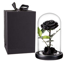 Perfectione Roses cloche en verre vue frontale présentant la rose intacte et élégante
