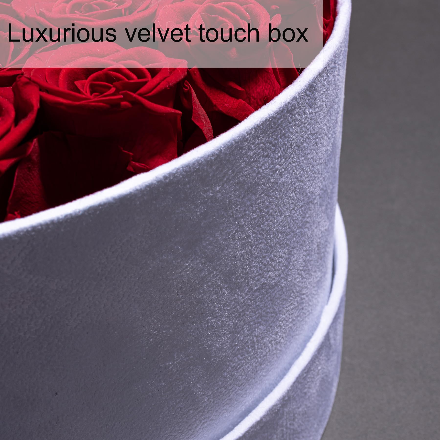 Perfectione Roses à côté d'une main pour échelle, montre taille compacte