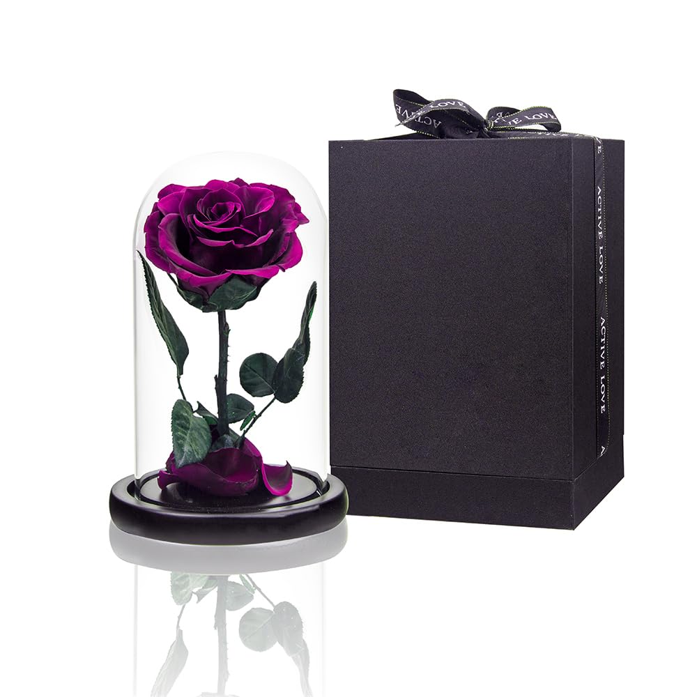 Perfectione Roses dôme de verre face présentant la rose violette, élégance durable
