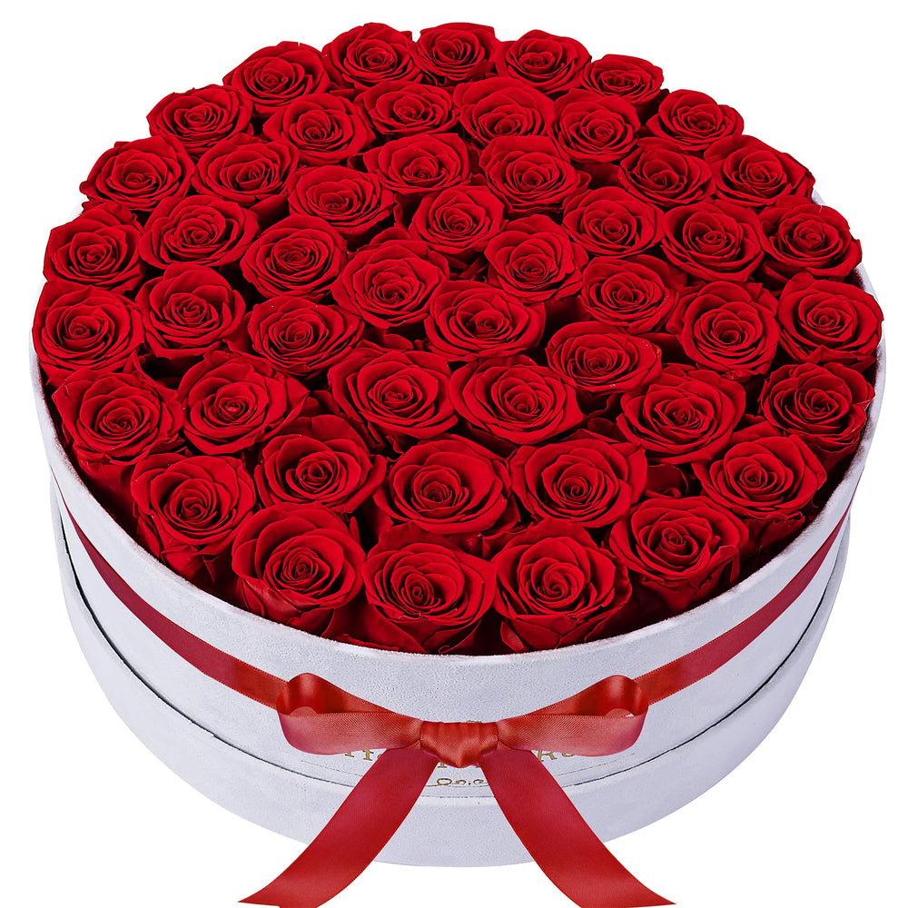 Perfectione Roses écrin velours ouvert montrant 50 roses, cadeau élégant