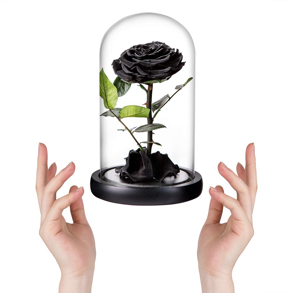 Perfectione Roses gros plan pétales noirs montrant texture naturelle et finition durable