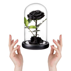Perfectione Roses gros plan pétales noirs montrant texture naturelle et finition durable