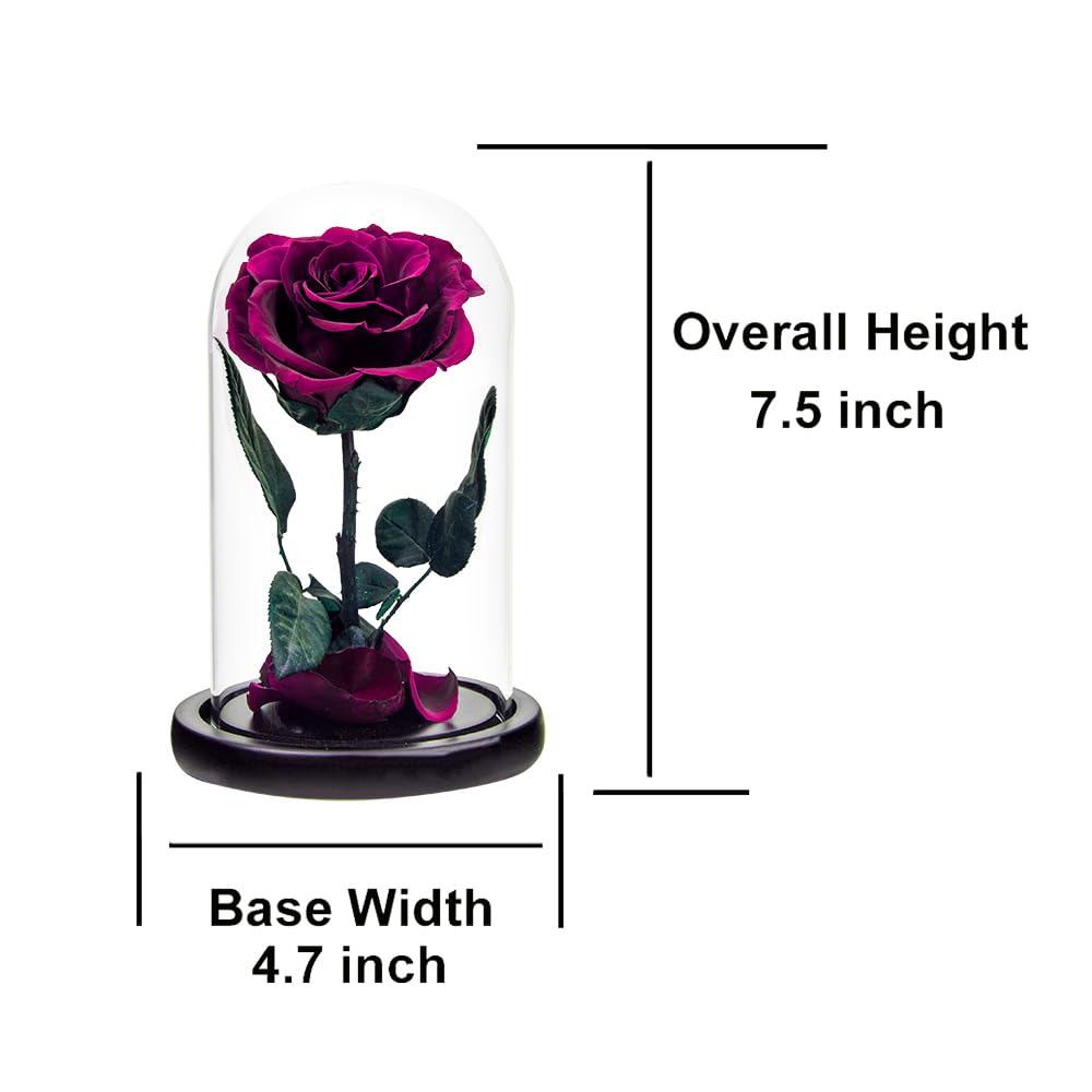 Perfectione Roses gros plan sur pétales préservés montrant texture et couleur